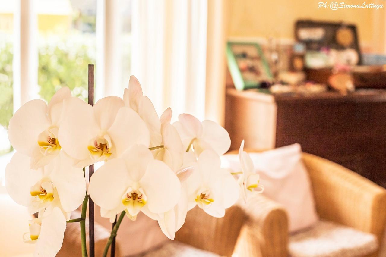 Hotel Ninfea チェルヴィア エクステリア 写真